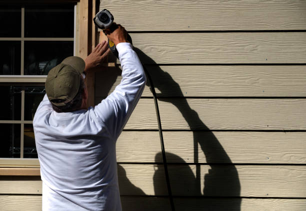 Best Vinyl Siding Installation  in Walton, KY