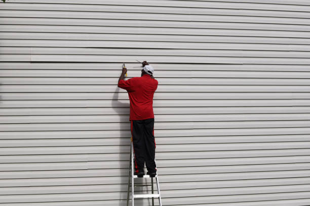 Best Insulated Siding Installation  in Walton, KY
